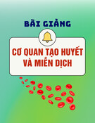 Bài giảng Cơ quan tạo huyết và miễn dịch - TS. Phạm Ngọc Khôi
