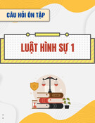 Bộ câu hỏi ôn tập môn  Luật Hình sự 1