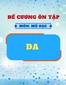 Đề cương ôn tập môn Mô học: Da (Có đáp án)