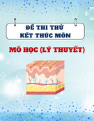 Đề thi thử kết thúc môn Mô học (Có đáp án)