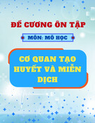 Đề cương ôn tập môn Mô học: Cơ quan tạo huyết và miễn dịch (Có đáp án)