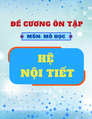 Đề cương ôn tập môn Mô học: Hệ nội tiết (Có đáp án)
