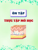 Thực tập Mô học (Ôn tập) - TS. Phạm Ngọc Khôi