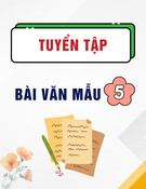 Tuyển tập bài văn mẫu lớp 5
