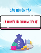 Câu hỏi ôn tập môn Lý thuyết tài chính & tiền tệ