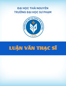 Luận văn Thạc sĩ: Bài toán đảm bảo giá trị điều khiển tối ưu các hệ phương trình vi phân có trễ