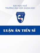 Luận án Tiến sĩ: Sự biểu thị mức độ trong tiếng Việt từ góc nhìn ngôn ngữ học tri nhận