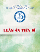 Luận án Tiến sĩ: Nghiên cứu thực trạng sức khỏe sinh sản và đánh giá hiệu quả của mô hình can thiệp ở nữ vị thành niên huyện miền núi A Lưới, tỉnh Thừa Thiên Huế