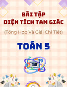 Bài tập diện tích tam giác Toán 5: Tổng hợp & giải chi tiết