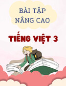 Bài tập nâng cao - Tiếng Việt 3