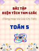 Bài tập diện tích tam giác Toán 5: Tổng hợp & giải chi tiết