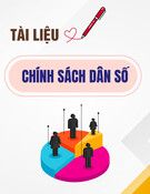 Chính sách dân số