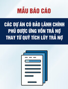 Mẫu Báo cáo các dự án có bảo lãnh chính phủ được ứng vốn trả nợ thay từ quỹ tích lũy trả nợ