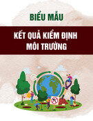 Mẫu Kết quả kiểm định môi trường