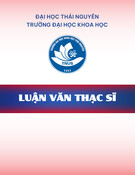 Luận văn Thạc sĩ: Một số vấn đề về phương trình mũ và lôgarit