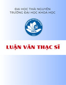 Luận văn Thạc sĩ: Thế giới tuổi thơ trong truyện ngắn của Nguyễn Ngọc Tư