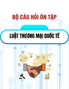 Bộ câu hỏi hướng dẫn ôn tập môn Luật Thương mại quốc tế