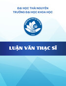 Luận văn Thạc sĩ: Đa thức đối xứng và các hệ phương trình đối xứng và bất đẳng thức liên quan