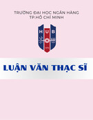 Luận văn Thạc sĩ: Tác động kênh huy động vốn qua phát hành trái phiếu đến lợi nhuận của ngân hàng thương mại Việt Nam giai đoạn 2010-2020
