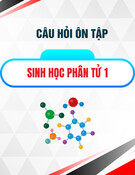 Câu hỏi ôn tập môn Sinh học phân tử 1