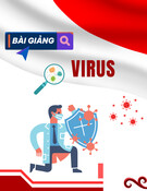 Bài giảng Virus: Chương 3 - Các phương pháp phân lập và nuôi cấy vi rút