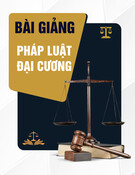 Bài giảng Pháp luật đại cương - Chương 5: Luật Hình sự Việt Nam