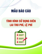 Mẫu Báo cáo tình hình sử dụng biên lai thu phí, lệ phí (Mẫu số: BC26/BLĐT)
