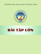 Bài tập lớn: Phân tích, đánh giá thực trạng và đề xuất các giải pháp phát triển nông nghiệp ở nông thôn Việt Nam trong giai đoạn hiện nay