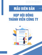 Mẫu Biên bản họp hội đồng thành viên công ty