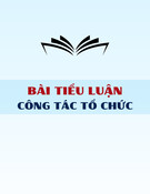 Bài tiểu luận: Mô hình cơ cấu tổ chức của công ty cổ phần ở Việt Nam