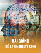 Bài giảng Xử lý tín hiệu y sinh