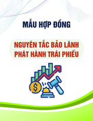 Mẫu Hợp đồng nguyên tắc bảo lãnh phát hành trái phiếu