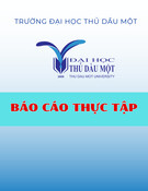 Báo cáo thực tập: Động cơ đốt trong