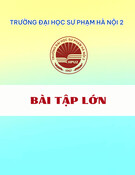 Bài tập lớn: Rèn luyện nghiệp vụ sư phạm
