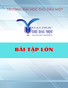 Bài tập lớn: Tính toán thiết kế hệ thống phanh trên xe Toyota Innova