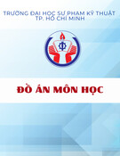 Đồ án môn học: Động cơ xăng GDI