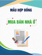 Mẫu Hợp đồng mua bán nhà ở chung cư