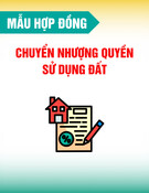 Mẫu Hợp đồng chuyển nhượng quyền sử dụng đất