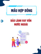 Mẫu Hợp đồng bảo lãnh vay vốn nước ngoài