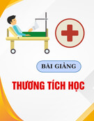 Bài giảng Thương tích học - ThS. BS Lê Thị Thanh Phương