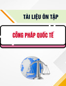 Tài liệu ôn tập môn Công pháp quốc tế