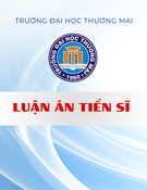 Luận án Tiến sĩ Kinh tế: Ảnh hưởng của chính sách thuế đến phát triển bền vững doanh nghiệp nhỏ và vừa tại Việt Nam