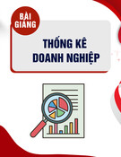Bài giảng Thống kê doanh nghiệp - TS. Vũ Trọng Phong