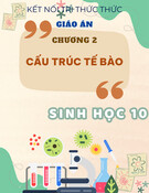 Giáo án Sinh học 10 Kết nối tri thức thức - Chương 2: Cấu trúc tế bào