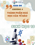 Giáo án Sinh học 10 Cánh diều - Chương 4: Thành phần hoá học của tế bào