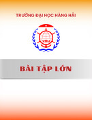 Bài tập lớn: Logistics cảng biển