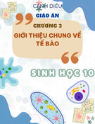 Giáo án Sinh học 10 Cánh diều - Chương 3: Giới thiệu chung về tế bào
