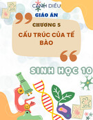 Giáo án Sinh học 10 Cánh diều - Chương 5: Cấu trúc của tế bào