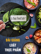 Bài giảng Luật thực phẩm (năm 2021)