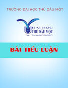 Bài tiểu luận: Thực trạng và giải pháp thực hiện chiến lược trách nhiệm xã hội và phát triển bền vững tại Công ty TNHH Becamex Tokyu